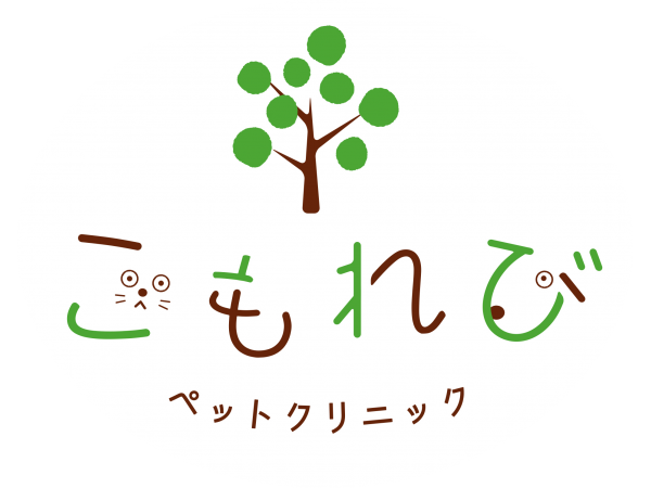 実習のお申し込みはこちら