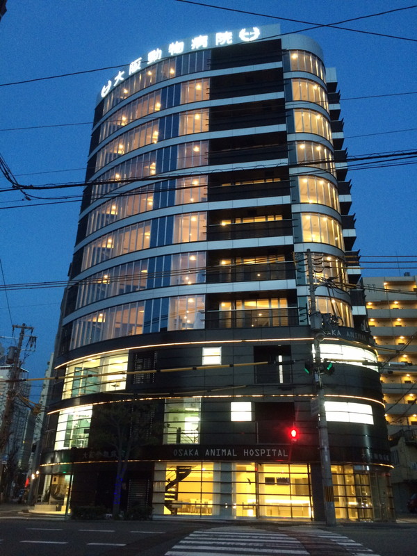 （株）WOLVES Hand 大阪動物病院のメインイメージ1