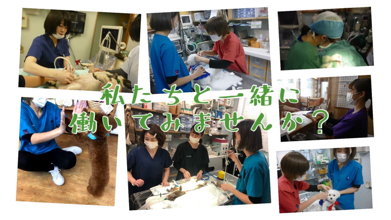ラパス動物病院　新札幌エリア（厚別区・清田区）のメインイメージ1