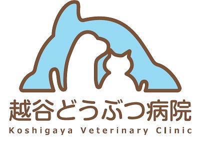 越谷どうぶつ病院のメインイメージ1