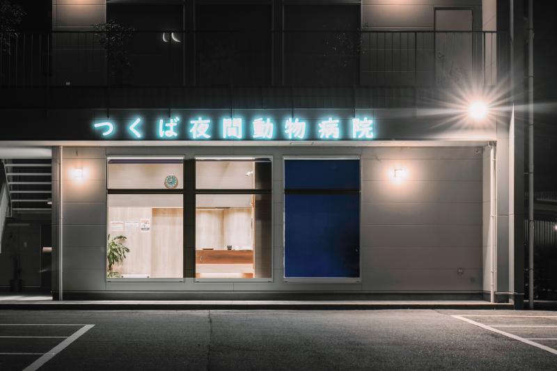 つくば夜間動物病院のメインイメージ1