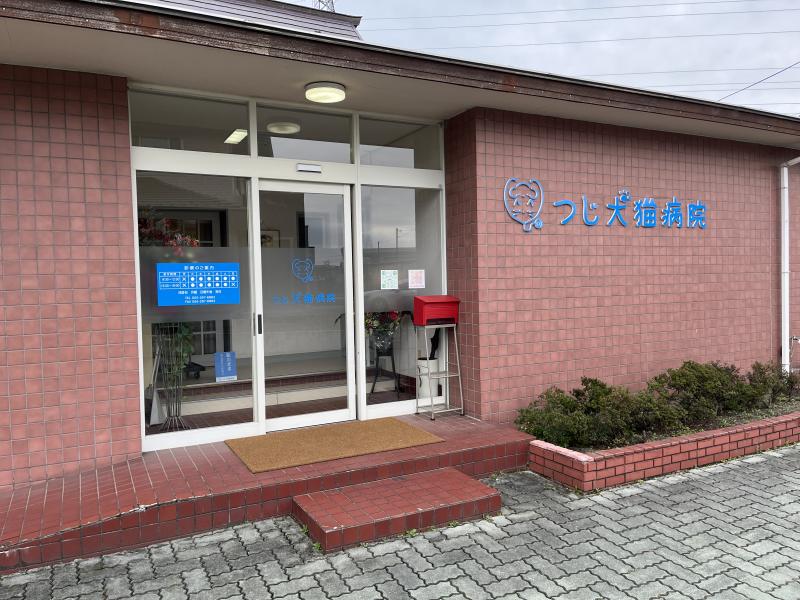 つじ犬猫病院のメインイメージ1
