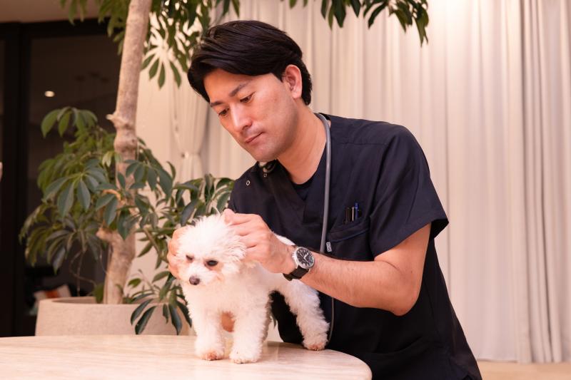 Tailor Vet Care（株式会社みるペット）のメインイメージ1