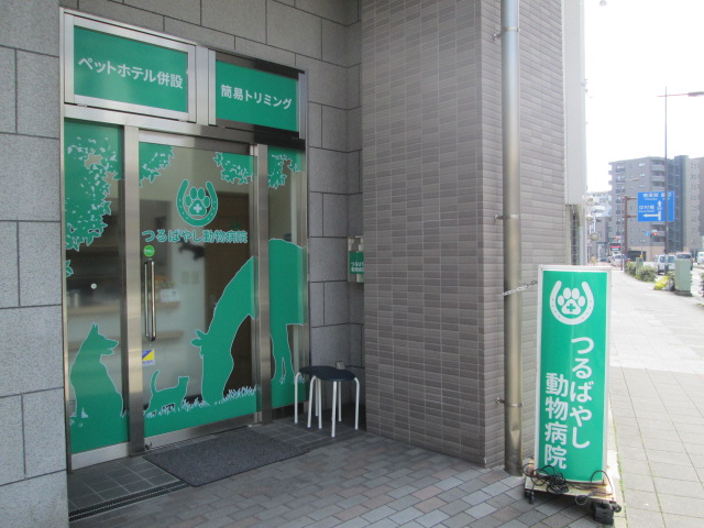 株式会社ヴァリアント　つるばやし動物病院のメインイメージ2