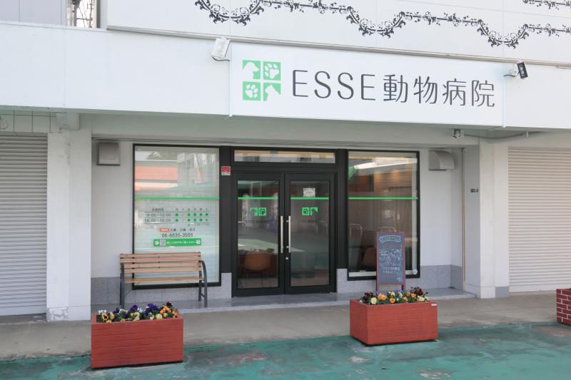 ESSE動物病院のメインイメージ2