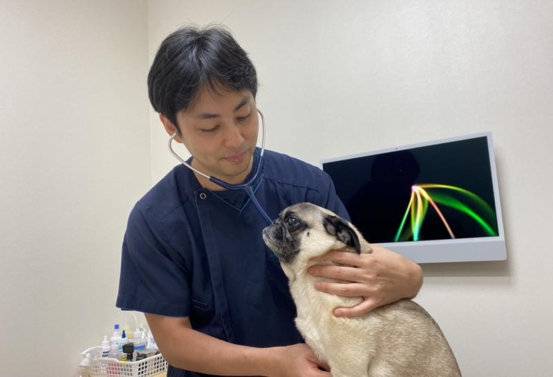 りゅう動物病院のメインイメージ2