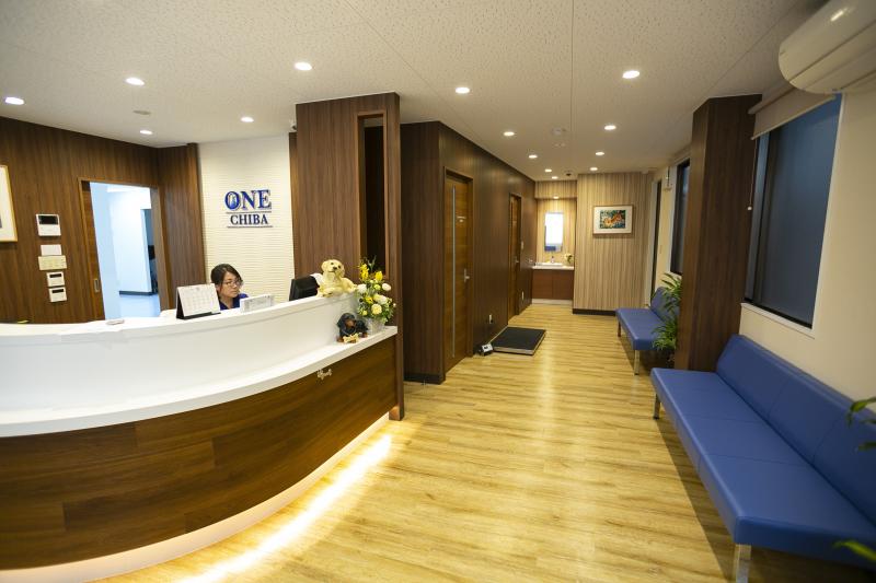 株式会社ONE for Animals(ONEどうぶつ整形外科センター)のメインイメージ2