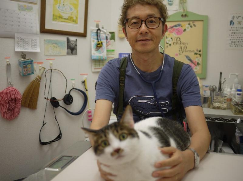 かたやま動物病院のメインイメージ2