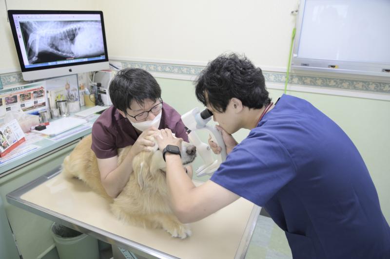 大田中央動物病院のメインイメージ2