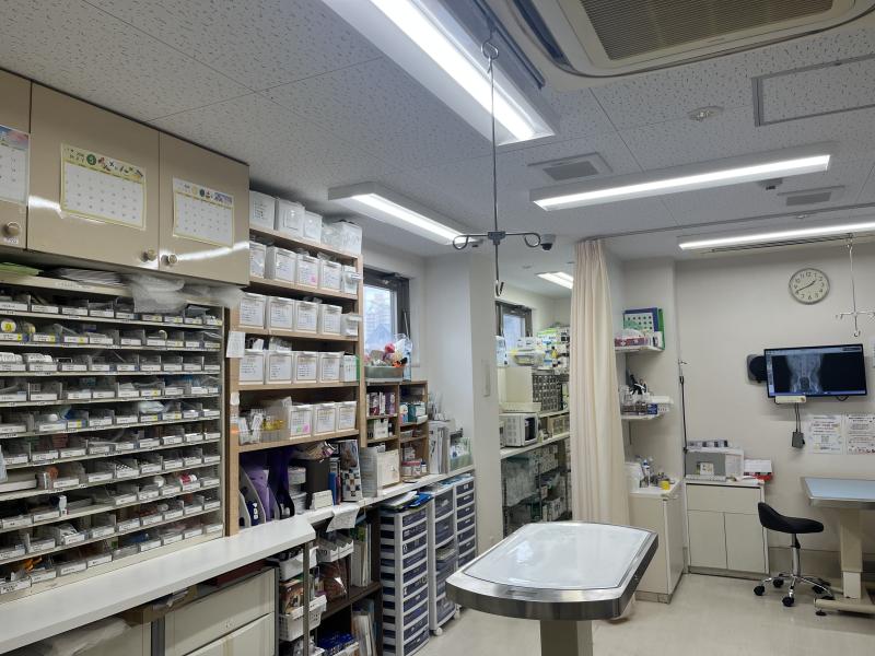 ゆうなぎ動物病院のメインイメージ2