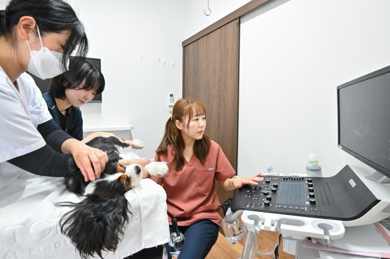 ぶんペットクリニックのメインイメージ2