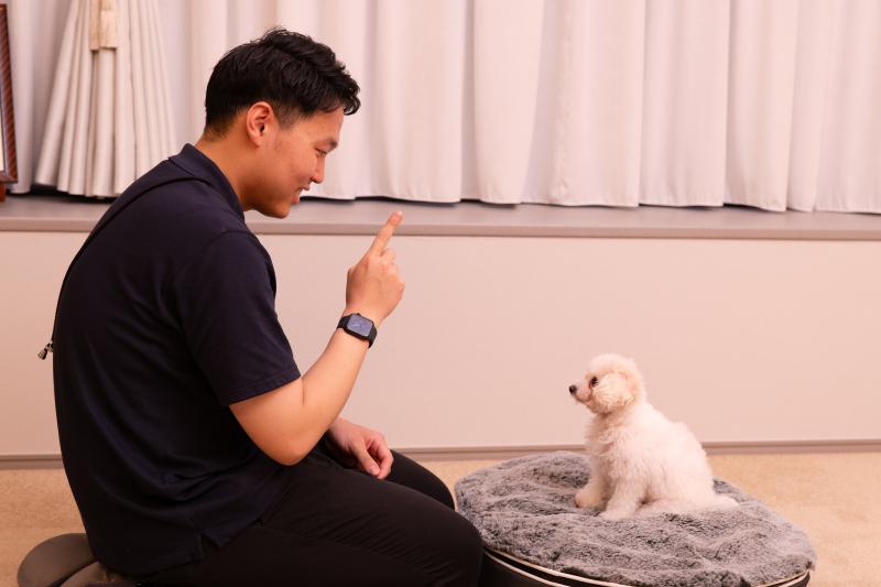 Tailor Vet Care（株式会社みるペット）のメインイメージ2