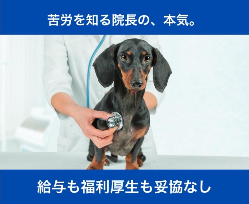 いち動物病院のメインイメージ2