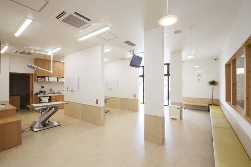 やさか動物病院 共に生きる 仲間募集 Vets Career 獣医師の求人マッチングサイト