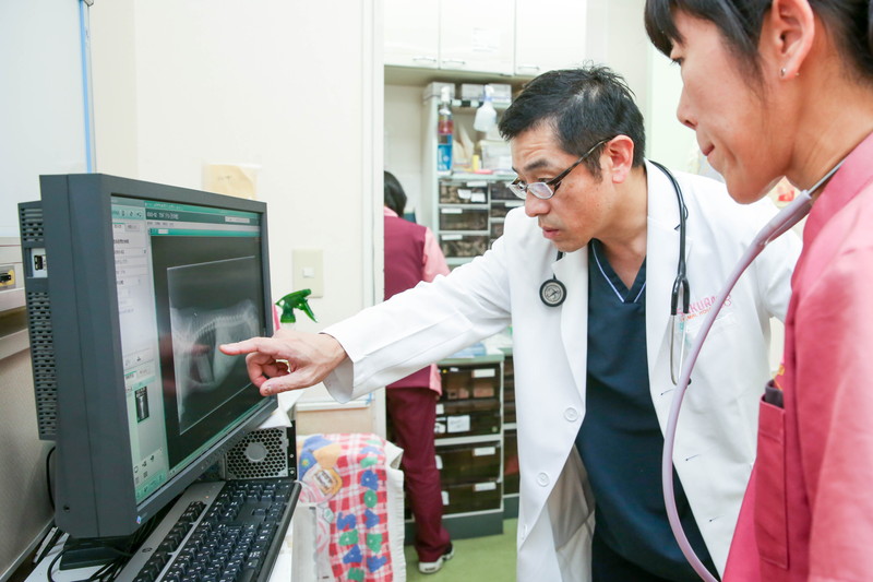 さくら動物病院のメインイメージ2
