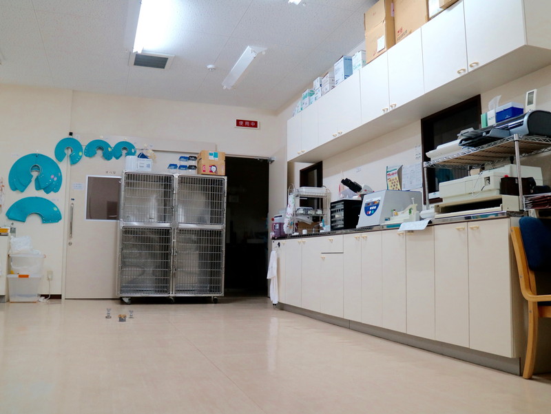 関西エキゾチック動物医療センター　キキ動物病院のメインイメージ3