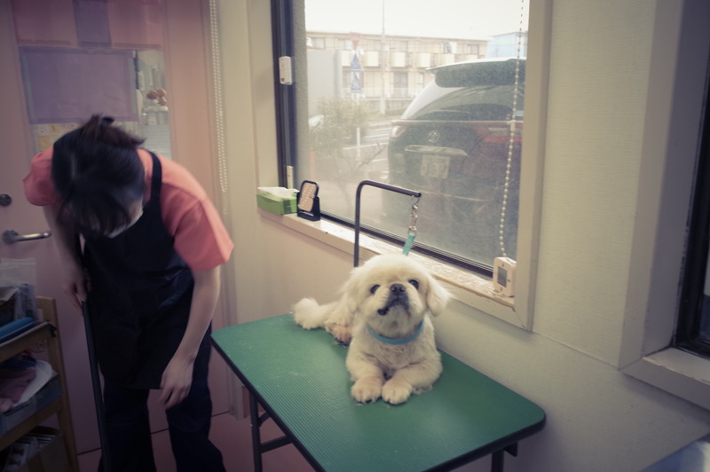 かたやま動物病院のメインイメージ3