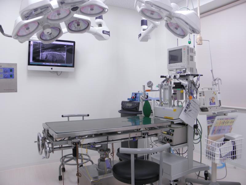 ゆうなぎ動物病院のメインイメージ3