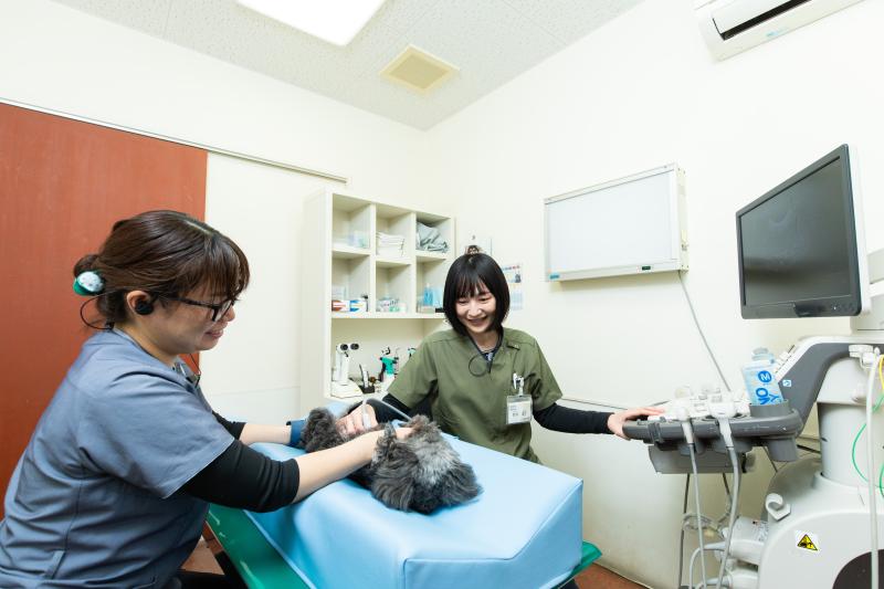 とわ動物病院のメインイメージ3