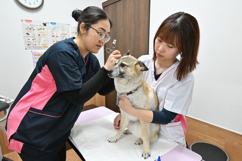 ぶんペットクリニックのメインイメージ3