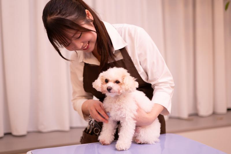 Tailor Vet Care（株式会社みるペット）のメインイメージ3