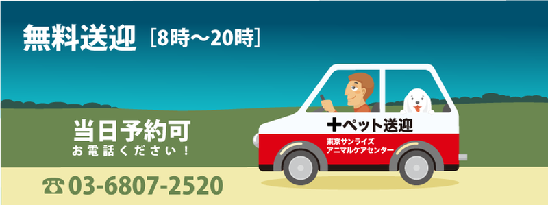 東京サンライズアニマルケアセンターのメインイメージ4