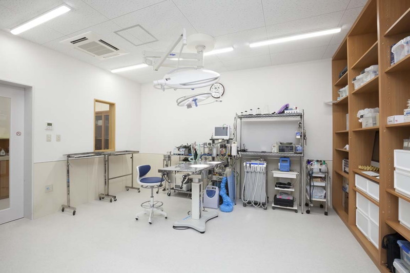 やさか動物病院 共に生きる 仲間募集 Vets Career 獣医師の求人マッチングサイト