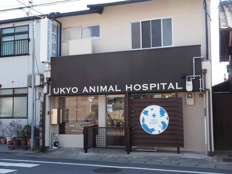 右京動物病院グループのメインイメージ4