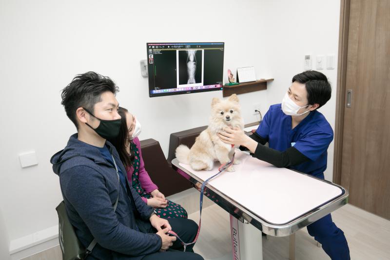 ESSE動物病院のメインイメージ4
