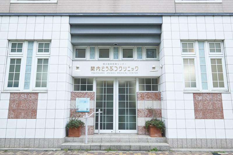 横浜動物医療センター　関内どうぶつクリニックのメインイメージ4