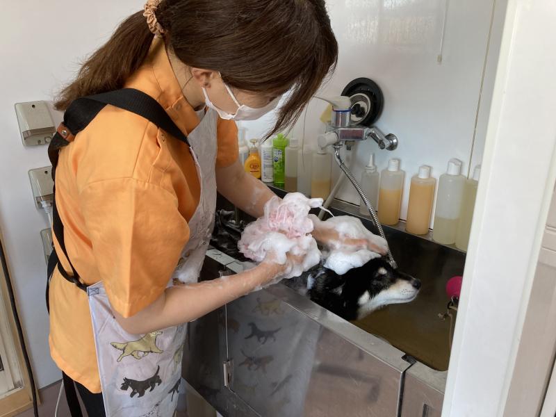 アステール動物病院/きたじま動物病院のメインイメージ4