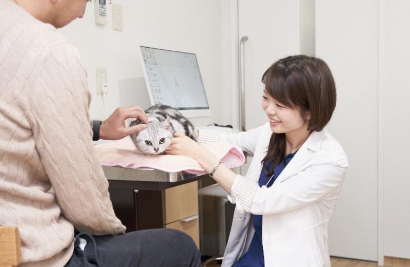 日本動物医療センターグループのメインイメージ4