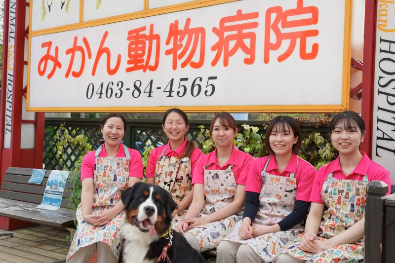 有限会社　みかん動物病院のメインイメージ4