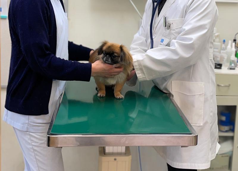 きし動物病院のメインイメージ4