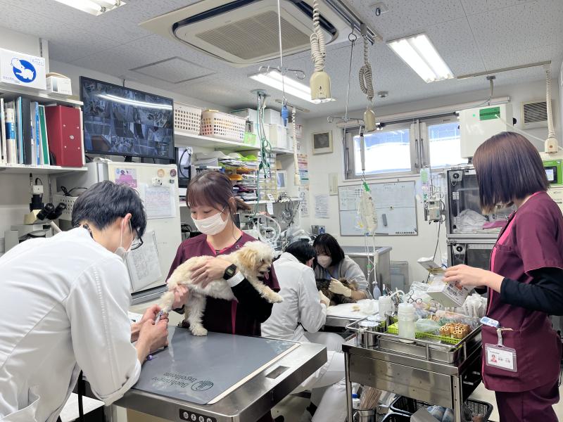 ゆうなぎ動物病院のメインイメージ4