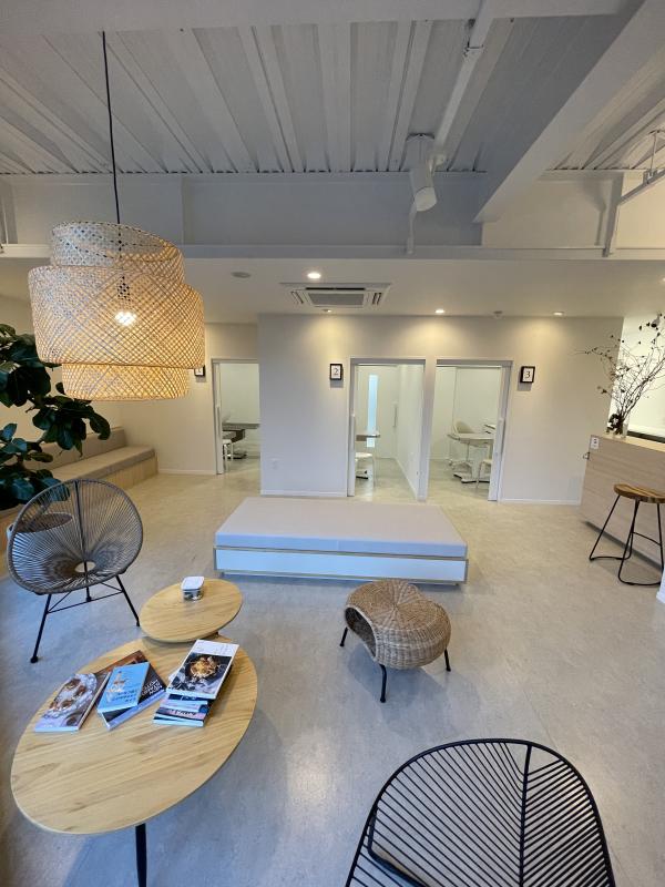 どうぶつ低侵襲手術センターのメインイメージ4