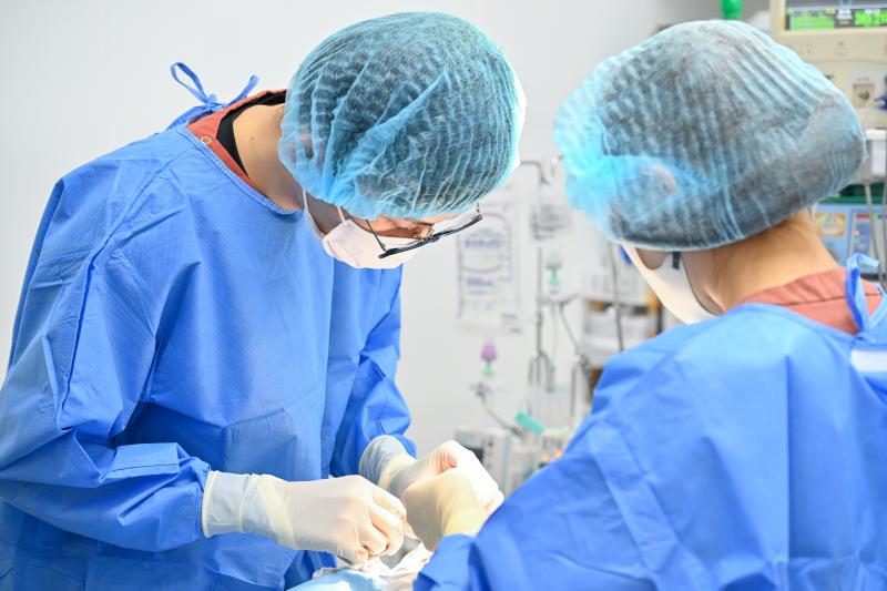 ぶんペットクリニックのメインイメージ4