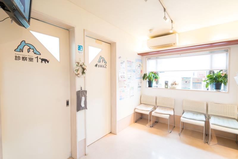 越谷どうぶつ病院のメインイメージ4