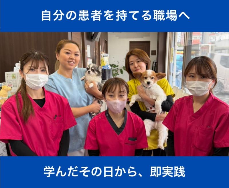 いち動物病院のメインイメージ4