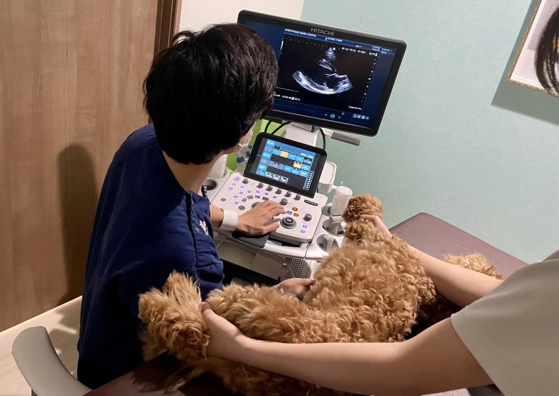 ESSE動物病院のメインイメージ5