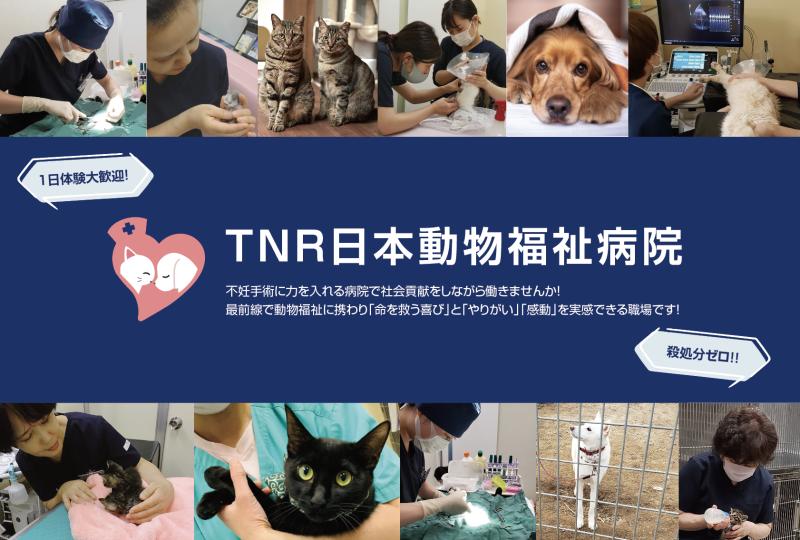 TNR日本動物福祉病院のメインイメージ5