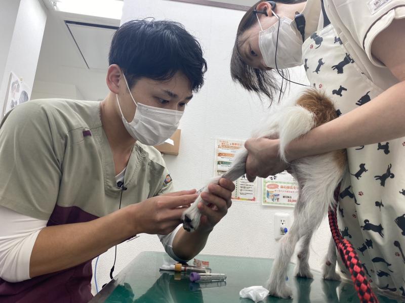 リバティ神戸動物病院のメインイメージ5