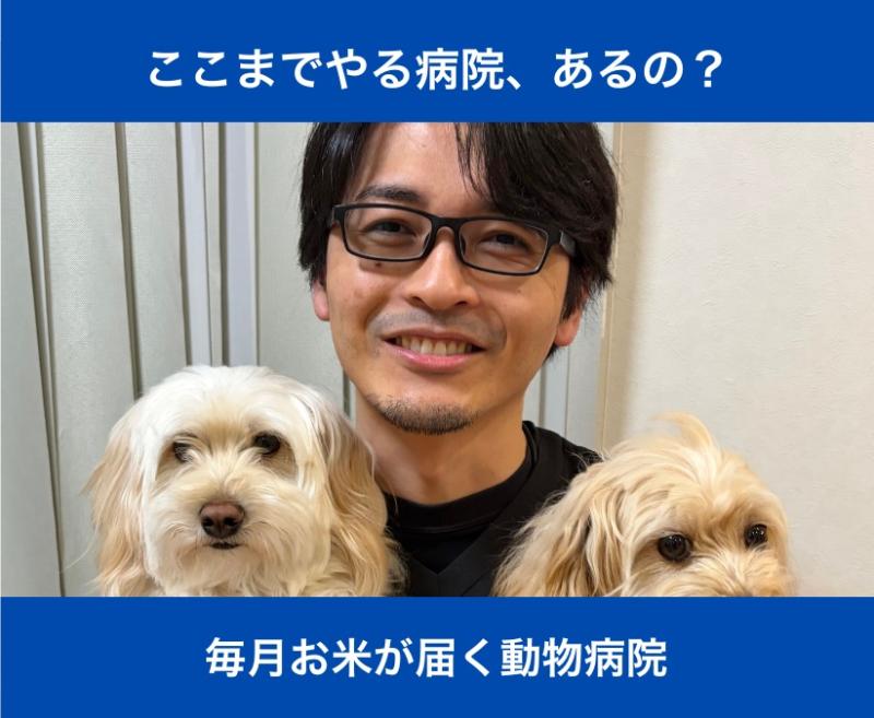 いち動物病院のメインイメージ5
